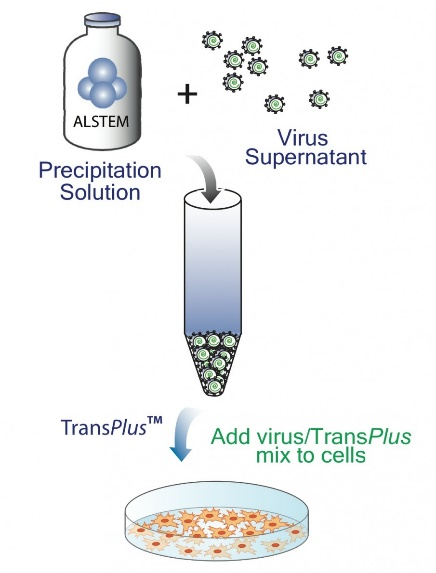 TransPlus 病毒转导增强剂